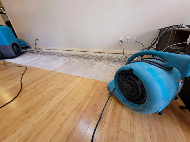Professional Water Removal technician working in Medfield, MA